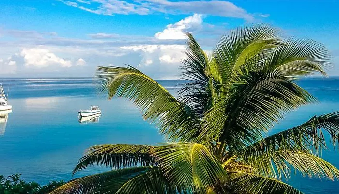 Silver Seas